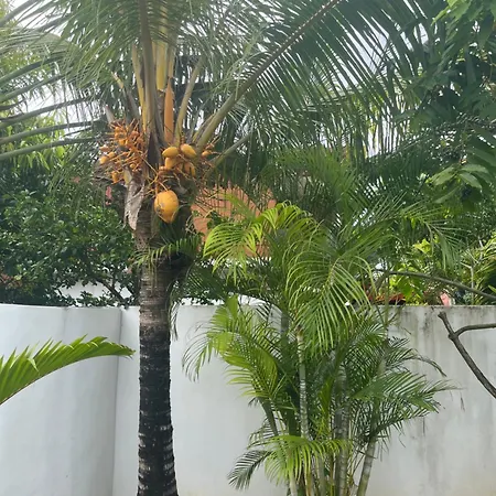 Beehive Villa Pamplemousses Exterior photo